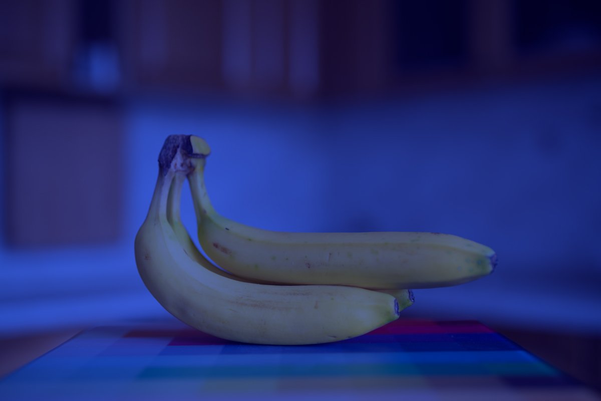 **Foto di Luca Negri / https://rgb1964.wordpress.com/2021/08/16/il-colore-delle-banane/**