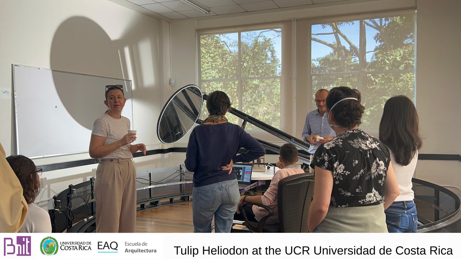 Tulip Heliodon at UCR, San Jose