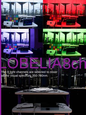 Lobelia 8ch by Beta nit